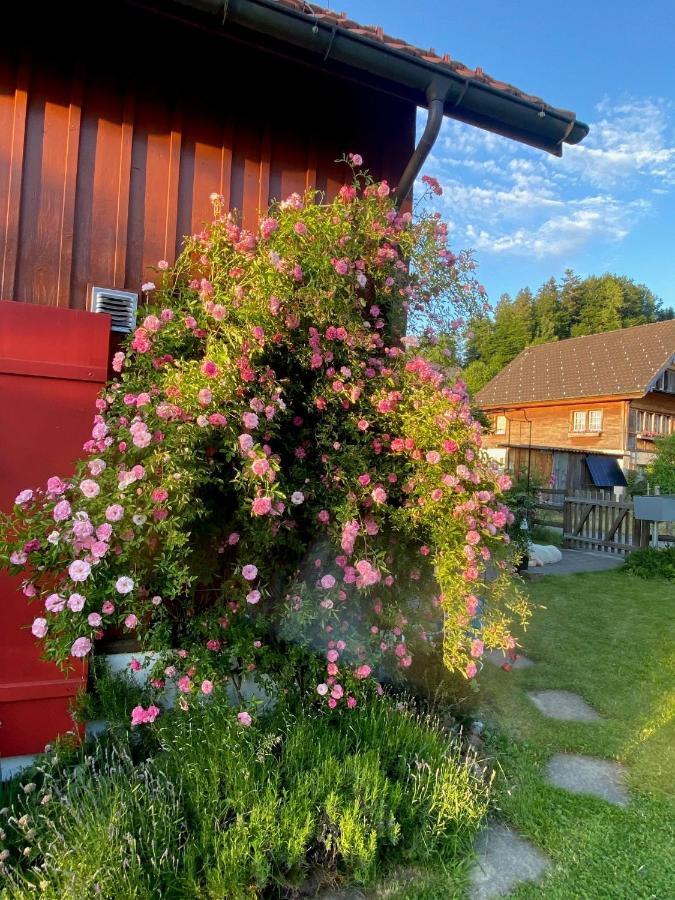 Doppelzimmer In Charmantem B&B Hemberg Exteriér fotografie